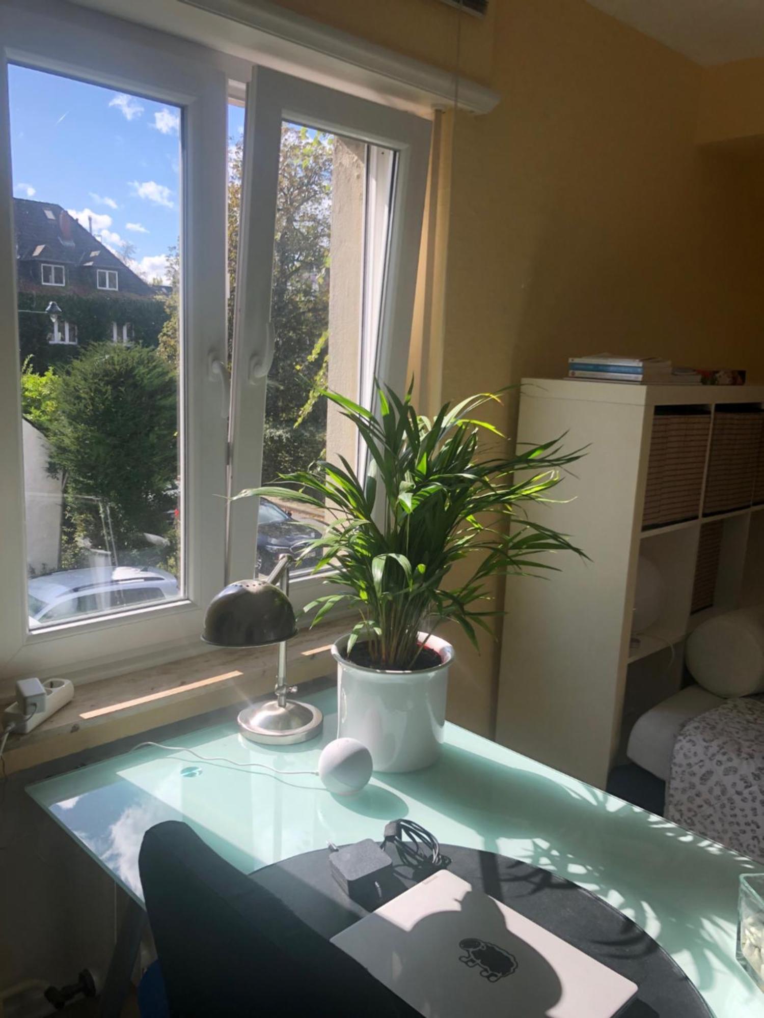 Appartement Glueck In Benrath à Düsseldorf Extérieur photo